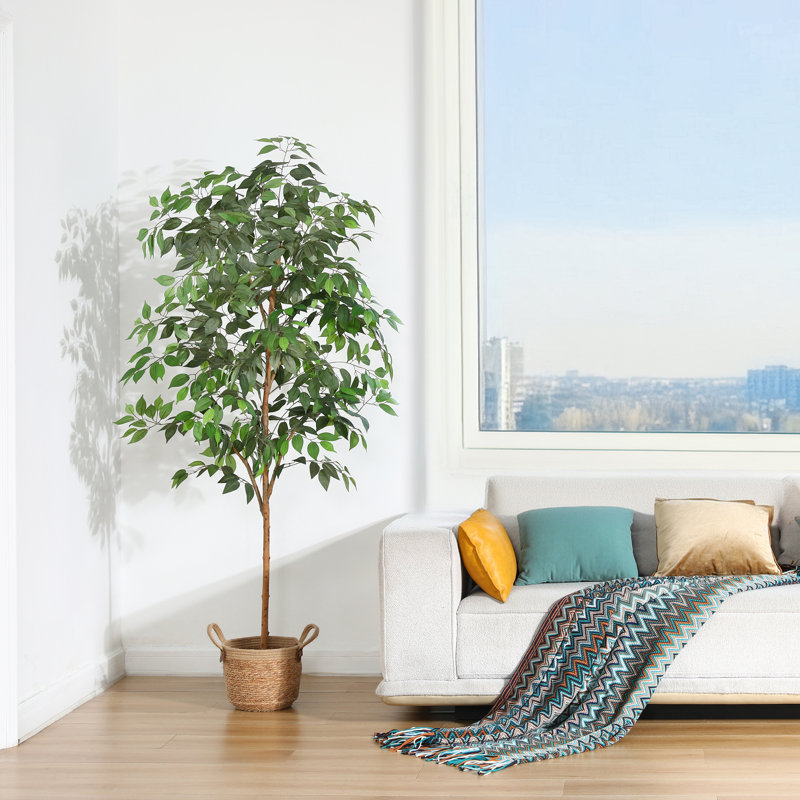 Ficus artificiel en pot 70 po avec des feuilles réalistes et un tronc naturel Adcock, H 70 po x l 18 po x P 18 po