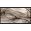 Adjoining Curves 2 Print by Sibel Acira-1709839810
