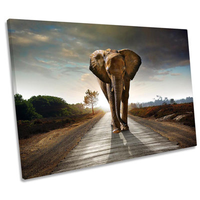 Elephant Road 1 Piece Wrapped Canvas Wall Art