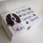 Springer Spaniel Dog Treat Box Donaldson Decorative Box