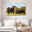 Brampt Grazing Angus Cows-107868868