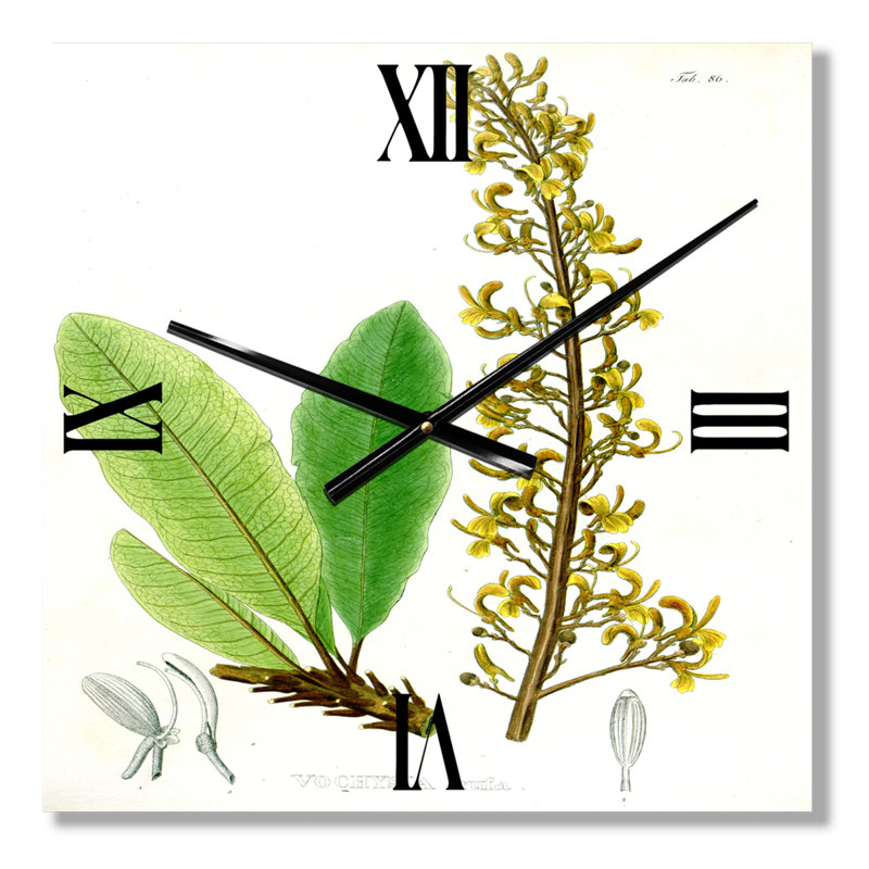 Horloge murale, Moyen