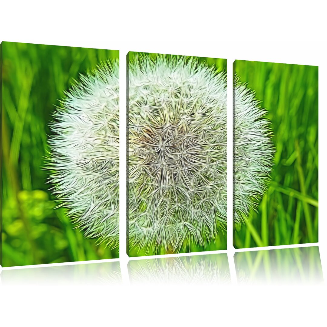 3-tlg. Leinwandbilder-Set „Pusteblume“