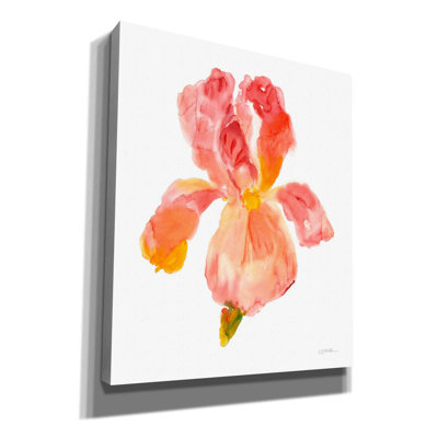 «Sunset Blooms II» par Tim O'toole, art mural sur toile
