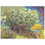 Vincent Van Gogh - Wrapped Canvas Painting-21212286