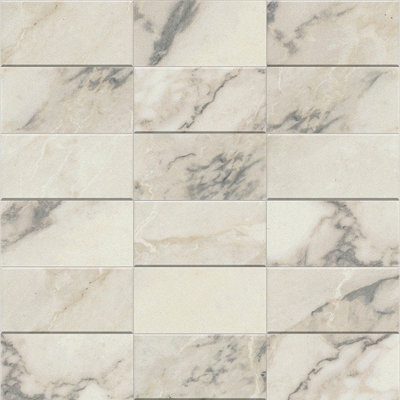 2" x 4" Porcelain Grid Wall & Floor Tile