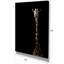 «Giraffe Hiding in the Dark», impression sur toile tendue-29496833