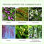 Yerang Garden Trellis for Climbing Plants Set of 2 50 x 181cm
