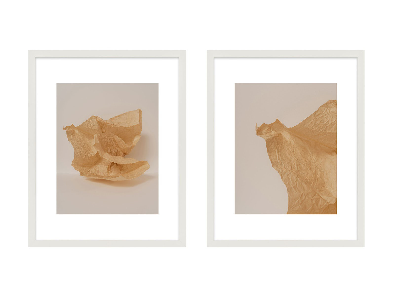 Lorena "Unpackage" 2-Piece Photo Set, White, 20" H x 16" W x 1.25" D