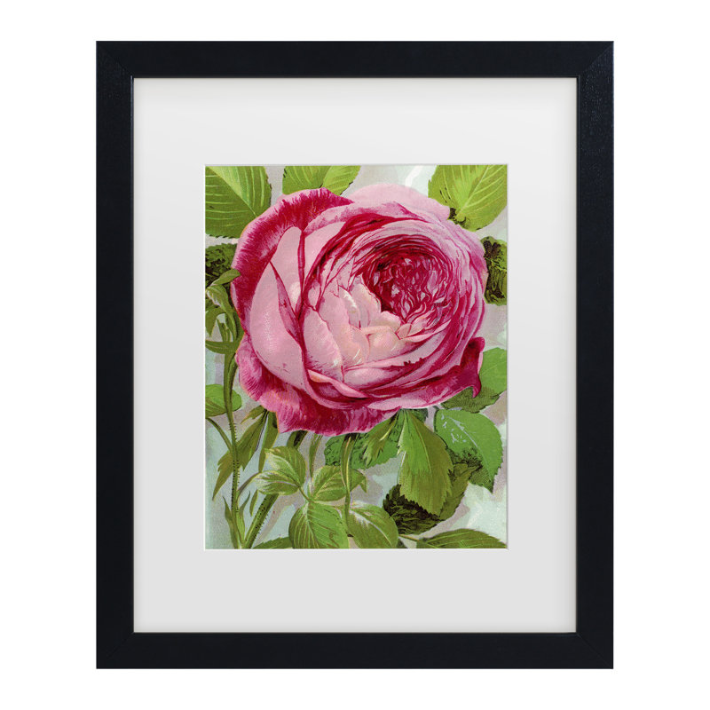 Œuvre botanique bolognaise, rosaire rose, Mme John Laing, reproduction d'art encadrée, H 13 po x l 16 po, Cadre noir