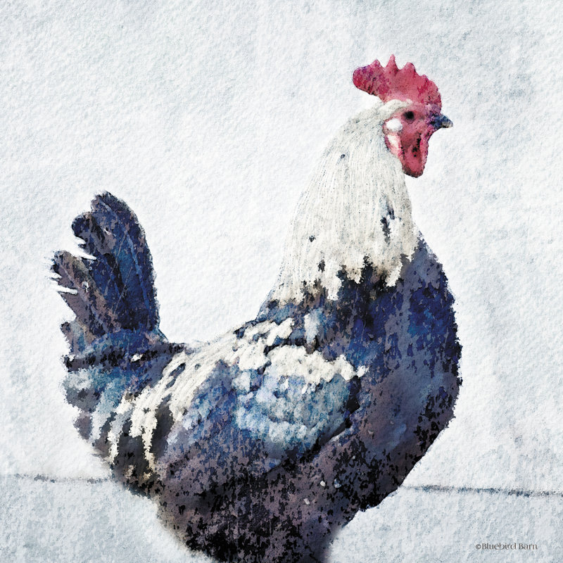«Rooster Blue» par Bluebird Barn - impression, H 20 po x l 20 po, Toile tendue