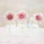 Sylvia Cook - Wrapped Canvas Print-718437410