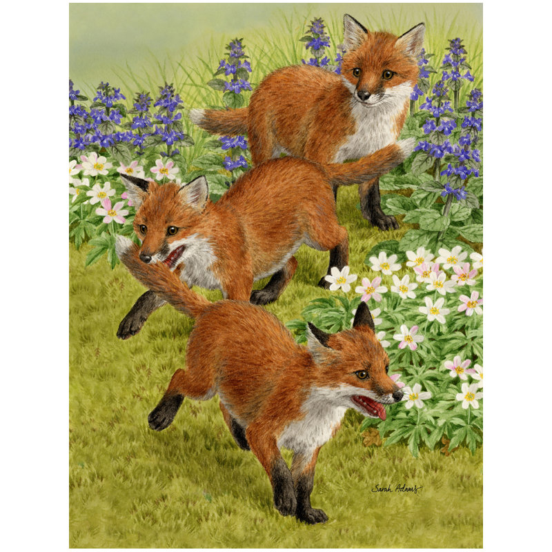 Drapeau de jardin Berrier Fox Cubs