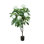 Hydrangea Drop-In Tree