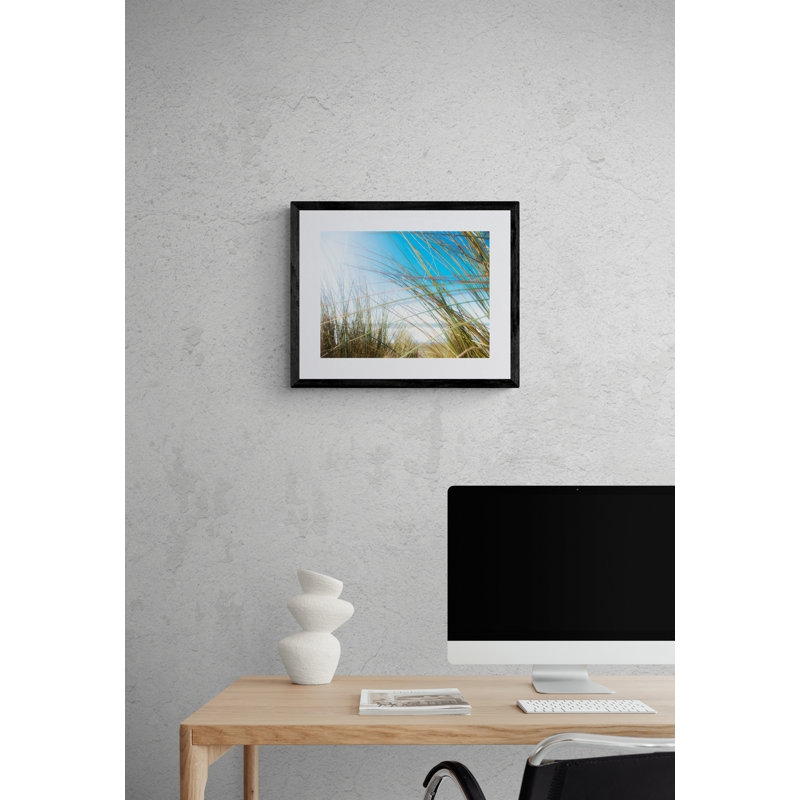 Graminées 3324 par Petra Trimmel, Papier avec cadre noir, H 17,2 po x l 21,2 po