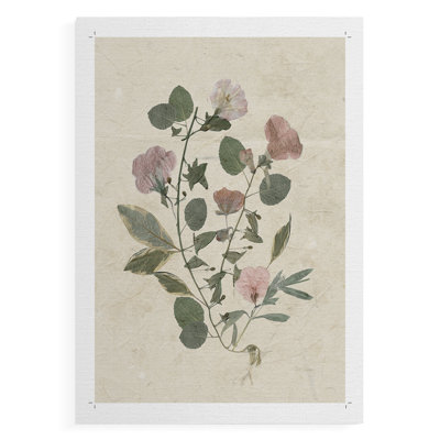 Pressed Arrangement I -Canvas Print Only - NOT FRAMED