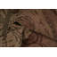 Tapis turc antique Oushak 5 x 9