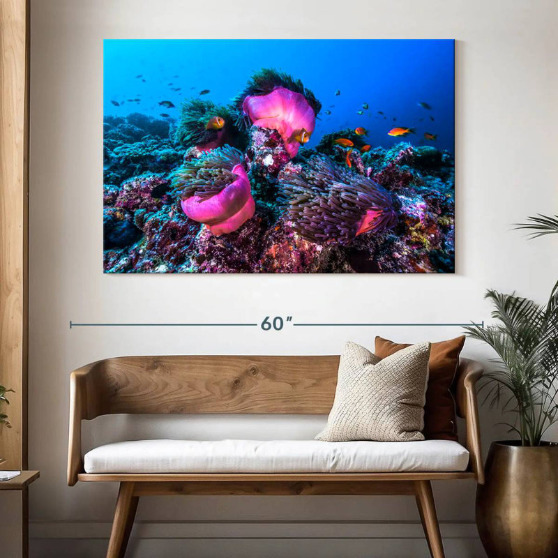 Aletra Maldives vue sous l'eau, H 34 po x l 51 po