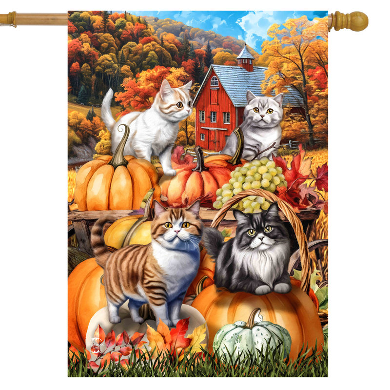Drapeau de citrouille, Automne orange et blanc