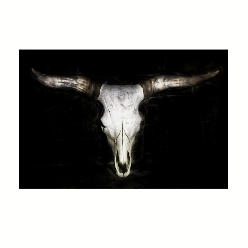 Affiche de Longhorn, 24x36inch