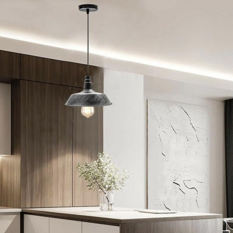 Colston 1 - Light Pendant, Brushed silver