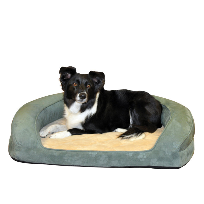 Lit-lit pour chien deluxe ortho, Grand (l 40 po x P 40 po x H 8 po), Vert