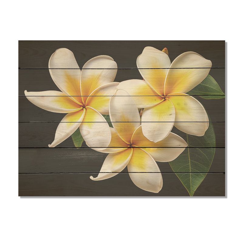«Dreamscape Plumerias P pureté», art sur bois de pin naturel de Plumeria, H 10 po x l 20 po