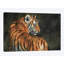 «Tiger at Night», impression sur toile-33109904-72416583-72416590