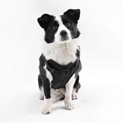 Harnais pour animal de compagnie Arlo