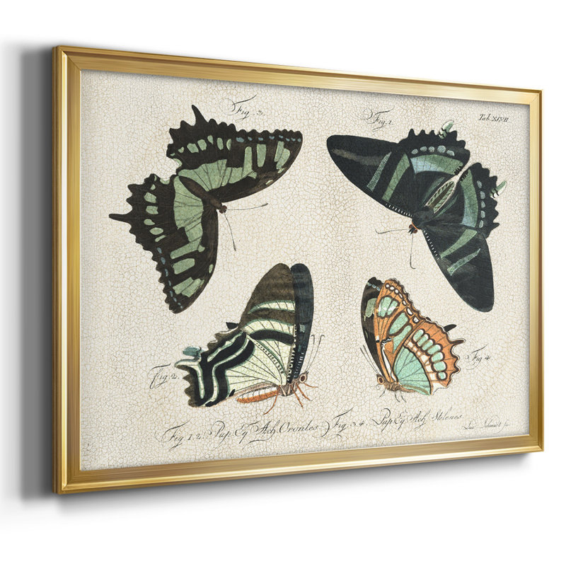 «Crackled Butterflies III», reproduction d'art sur toile, H 30 po x l 44 po x P 1,5 po, Or