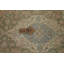 Tapis traditionnel grand 10 x 14