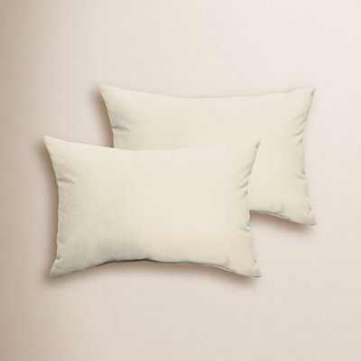 Almeda Lumbar Throw Pillow