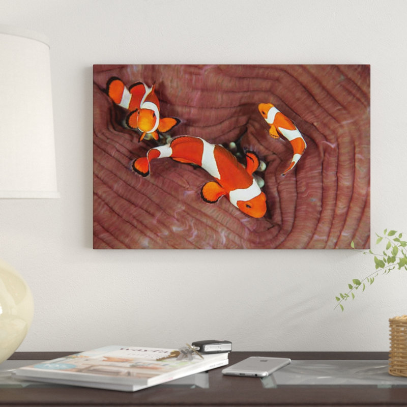 « false clownfishs », impression sur toile, reproduction d’art sur toile, H 12 po x l 18 po x P 1,5 po, Toile tendue
