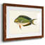 Collection de poissons tropicaux I-787608199-787608216