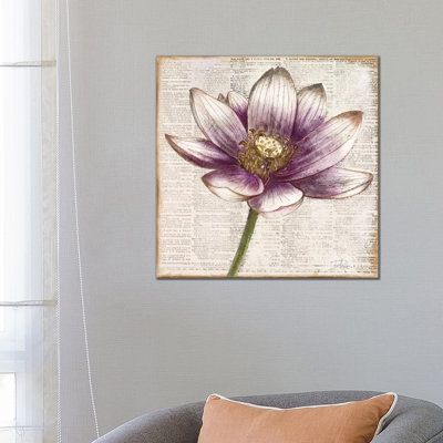 Defined Lotus II by Patricia Pinto - Wrapped Canvas Gallery-Wrapped Canvas Giclée