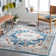 Aldusa Oriental Indoor Rug