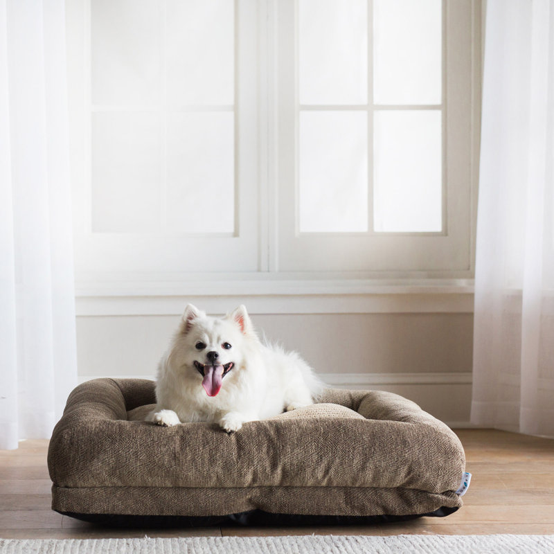Lit pour chien Rosie Lounger, H 7 po x l 35 po x P 27 po, Brun clair