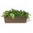 Cara Handmade Planter Box-118317020-118317018