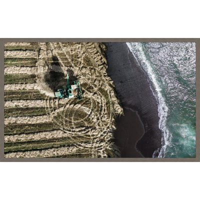 Farm To Sea 1 Wall Art & Signage by Thom Filicia