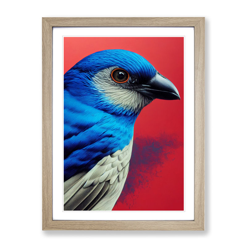 Splendid Bird - Wall Art, 34cm H x 25cm W x 2cm D, Oak Framed
