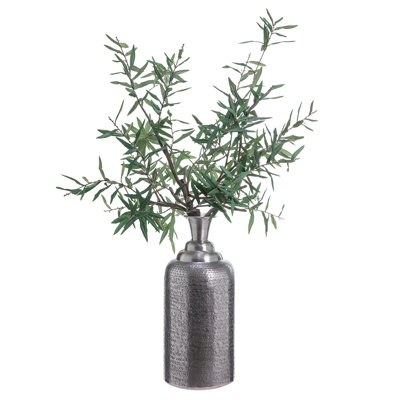 Branche d'olive 46 po