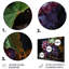 Fruits, raisins royaux Vineyard III - fruits, art mural en métal-1781084607