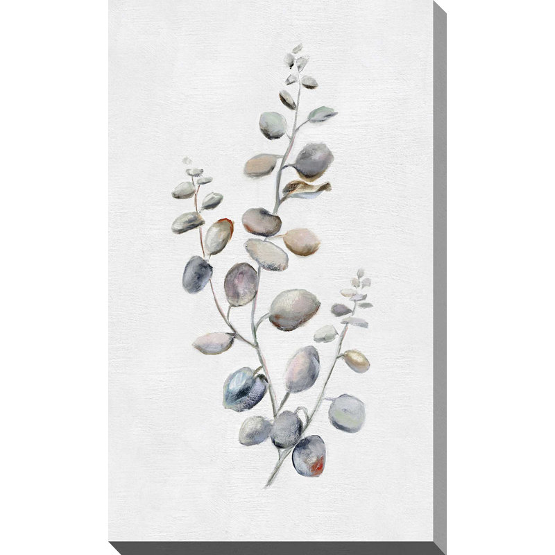 Eucalyptus II par Donna Brooks - Peinture, L 18 po x H 30 po, Toile tendue