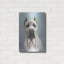 "Cane Corso 2" par Barbara Keith-869612633