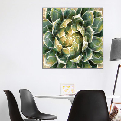 Succulent III 1 Piece Wrapped Canvas Wall Art