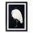 Black Framed selected