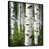Black Floater Framed