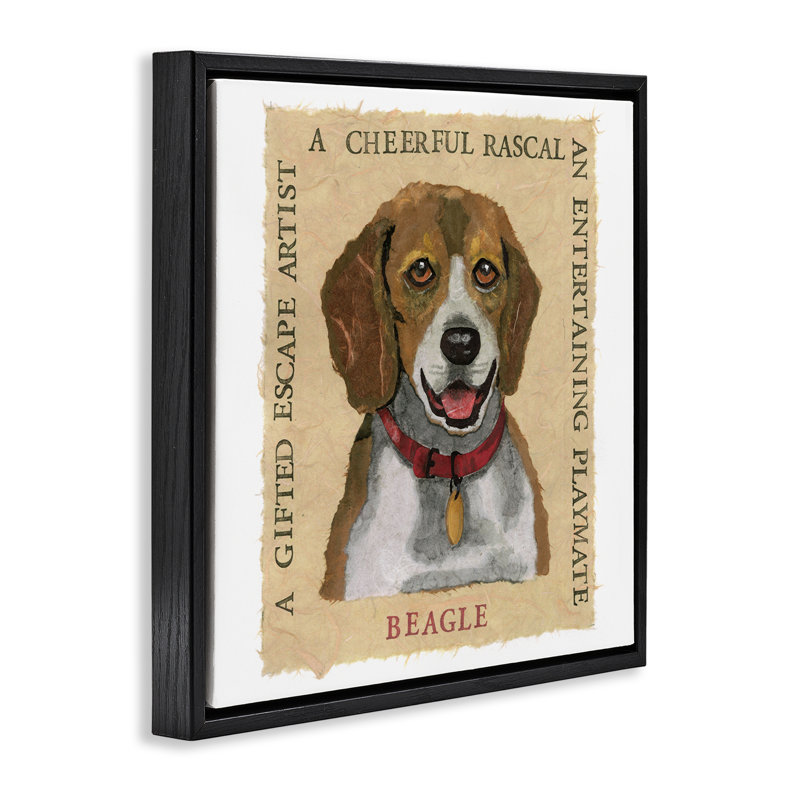 "Fun Beagle Pet", art mural encadré flottant par Nancy Overton, Cadre flottant noir, H 25 po x l 25 po