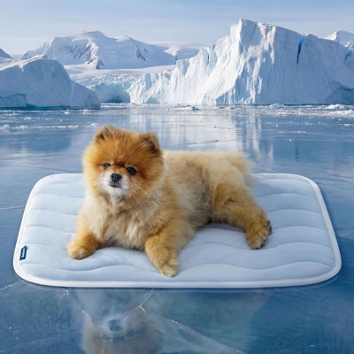Bedsure Cooling Mat for Dogs, Q-Max Greater Than 0.4, Thin Breathable Cooling Crate Pad, Indoor Pet Cooling Topper with Chill Cool Fibre, Portable Washable Kennel Mat for Outdoor Summer Use