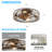 Branagh 19" Enclosed Low Profile Ceiling Fan with LED Lights and Remote Control-319103378